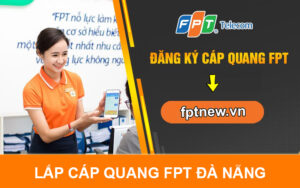 Lắp cáp quang FPT Đà Nẵng