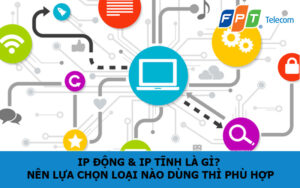 IP động & IP tĩnh là gì? Nên lựa chọn loại nào dùng thì phù hợp