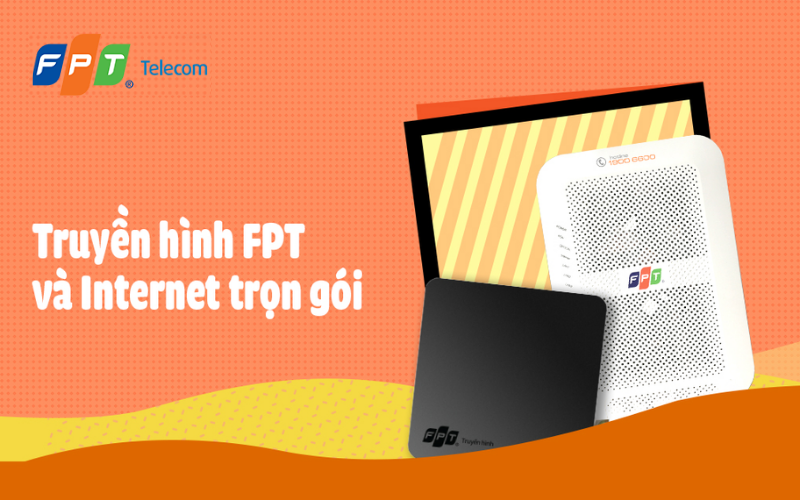 Lĩnh vực kinh doanh FPT Telecom -  Lắp mạng FPT Bình Định